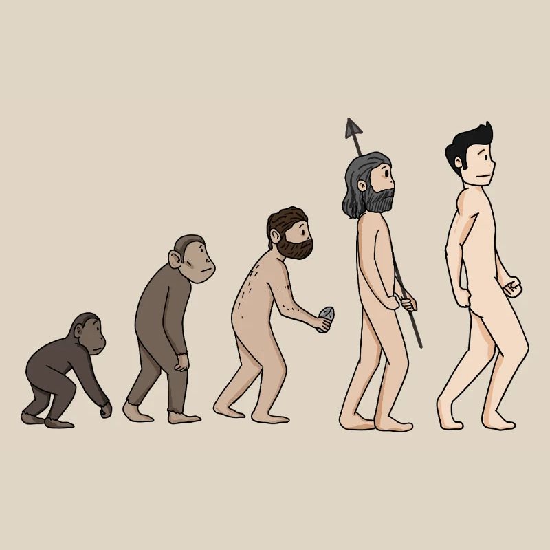 Human Development - Evolution Illustration