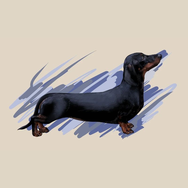 Dackel