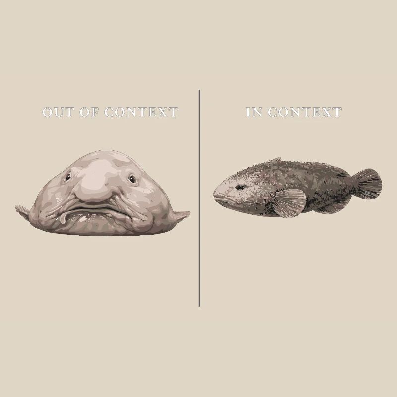Blobfish hors contexte vs comparaison dans le contexte