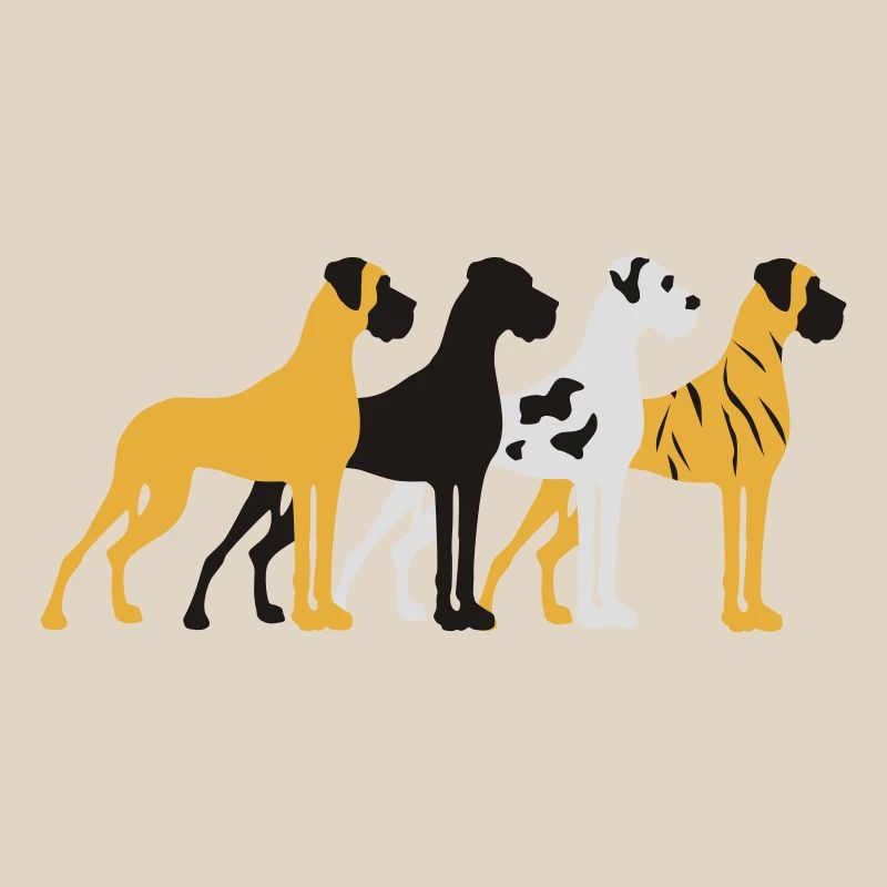 Four basic colors Great Dane