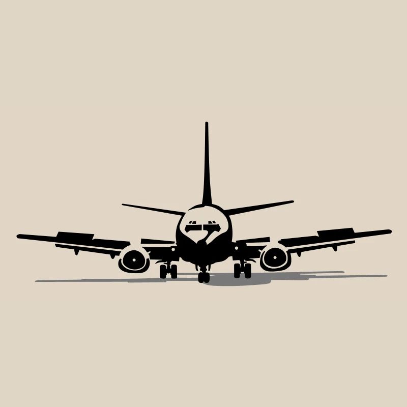 _737
