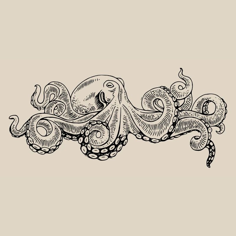 Octopus - Octopus Black Pattern