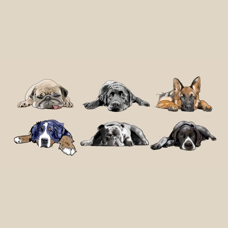 Mops Labrador Schäferhund Berner Bulldog Pointer