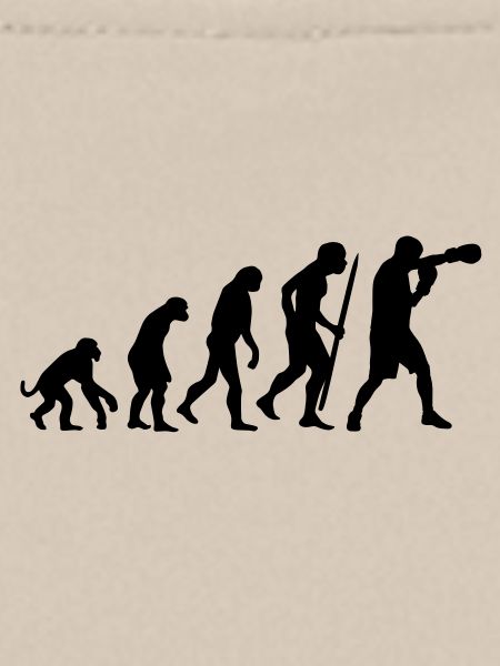 Evolution of boxing