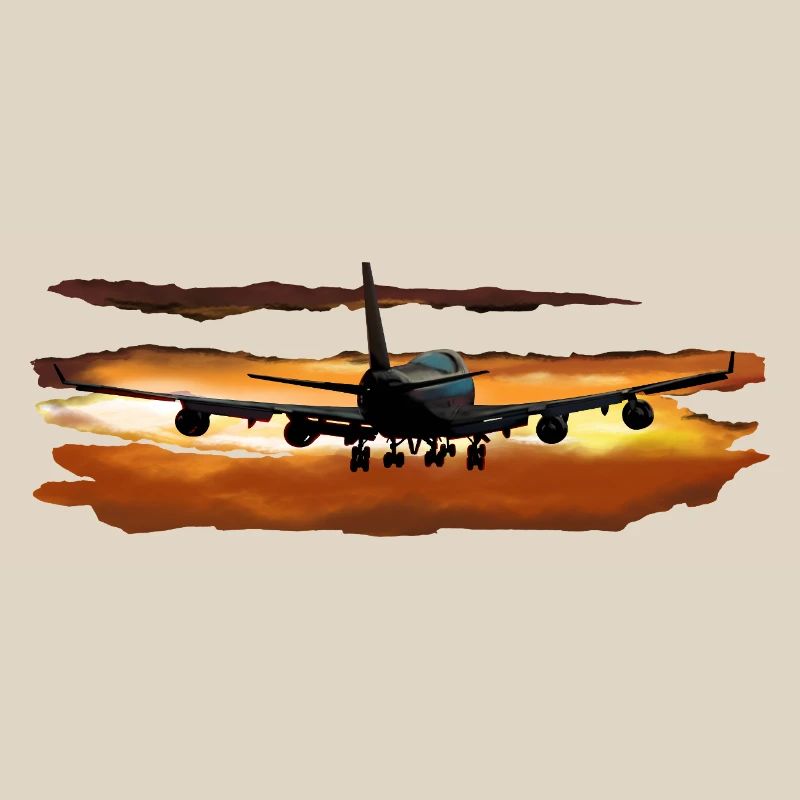 Passagierflugzeug