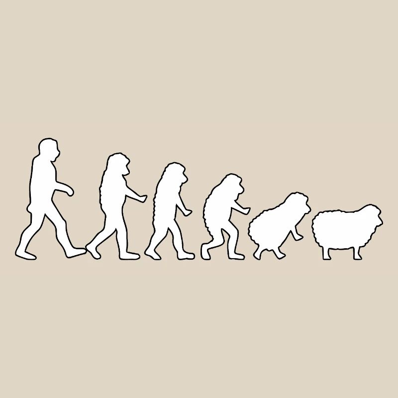 Evolution zum Schaf: Herdendenkweise