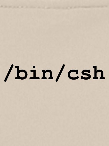 C-Shell - /bin/csh