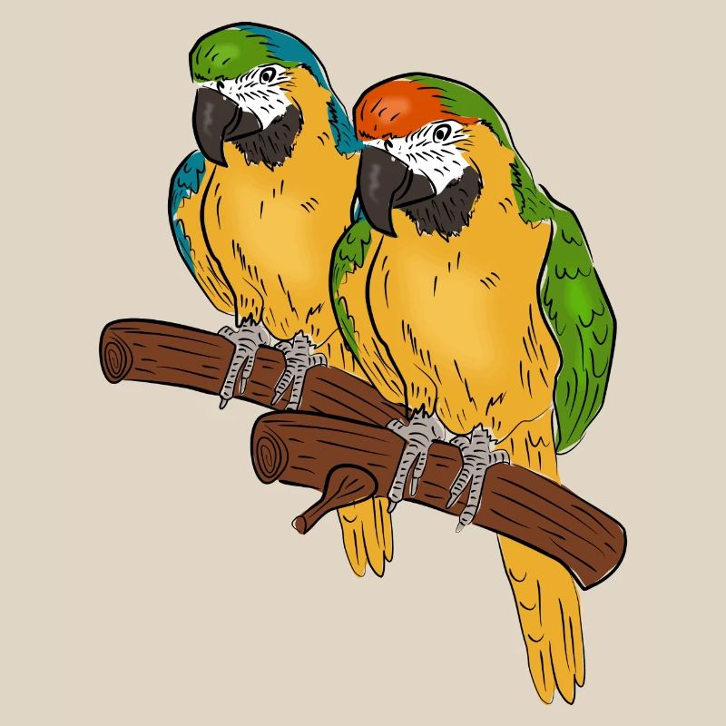 perroquets