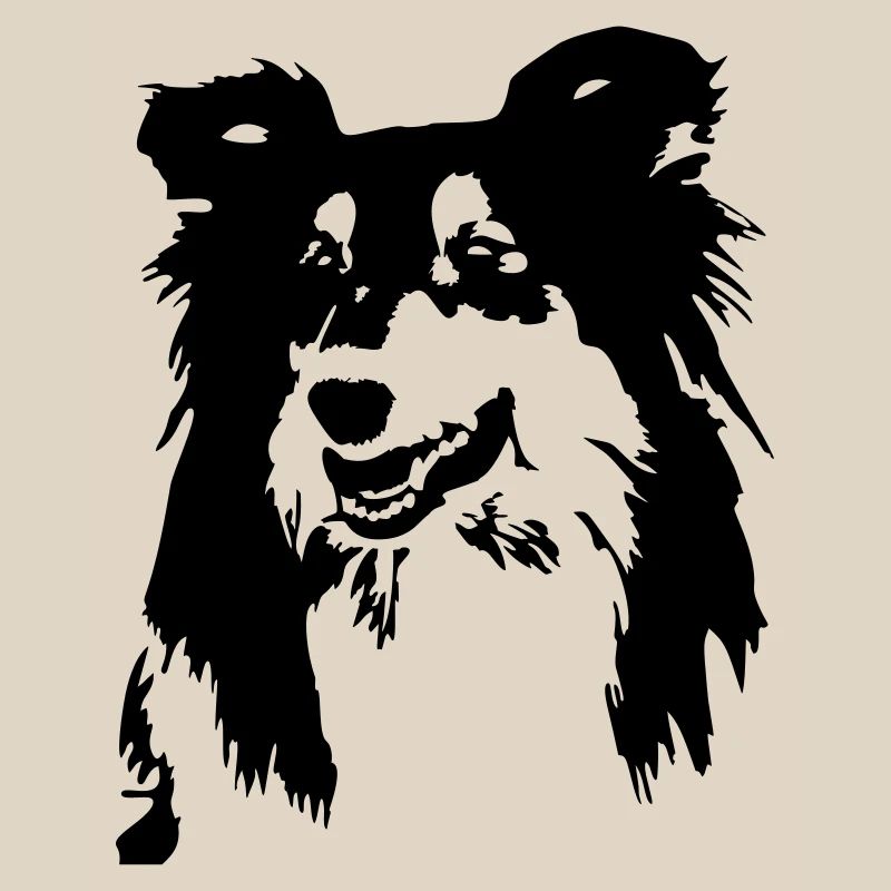 Collie head