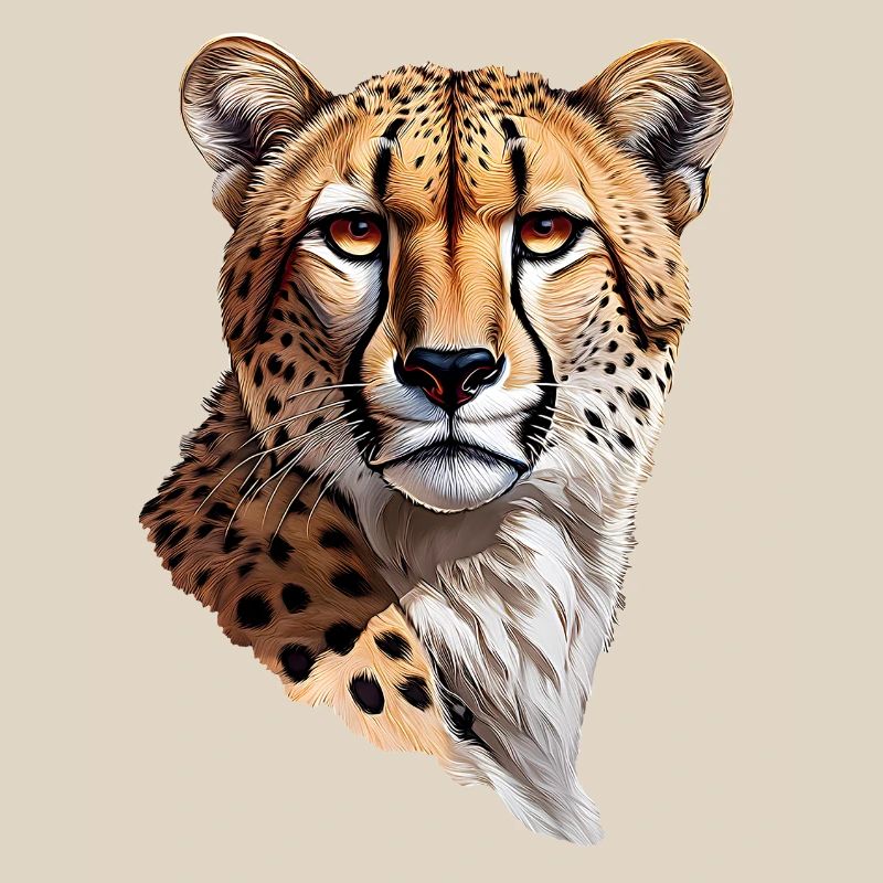 Gepard