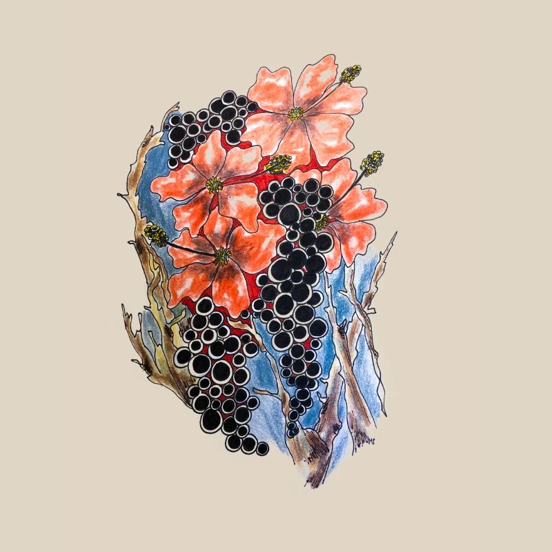 Rote Mohnblüten mit Blaubeer-Ranke