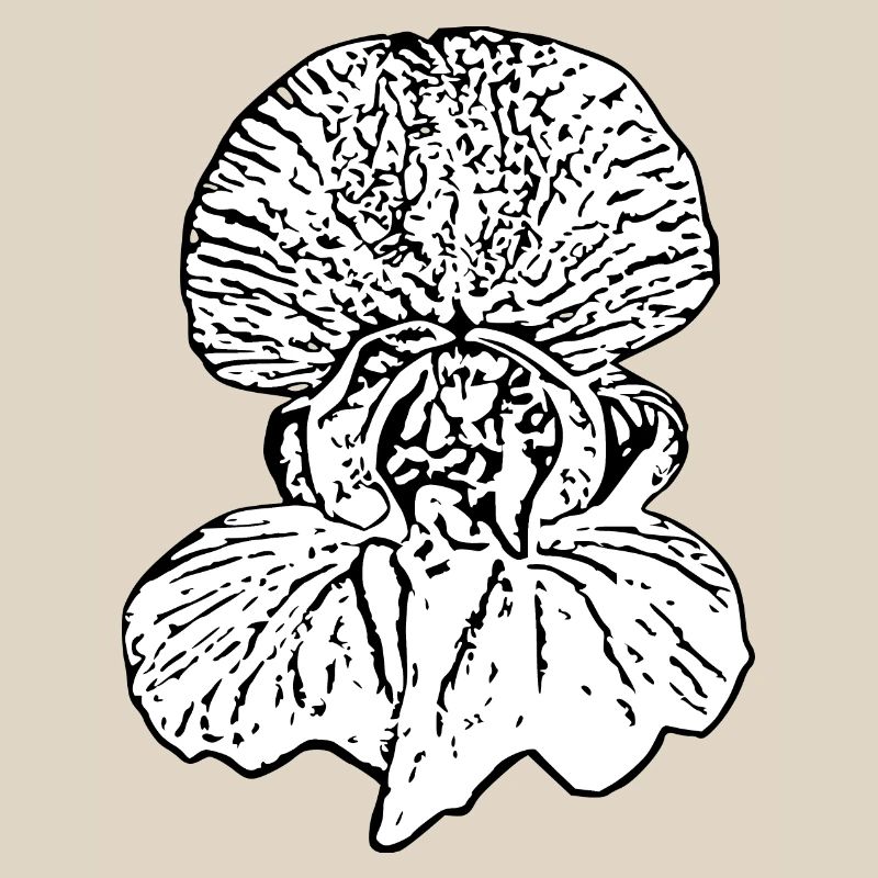 Muttertags Geschenk Mutter Muttertag Geschenkidee 