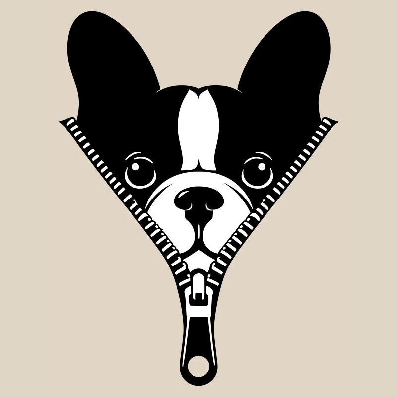 Bouledogue Français dans une fermeture éclair