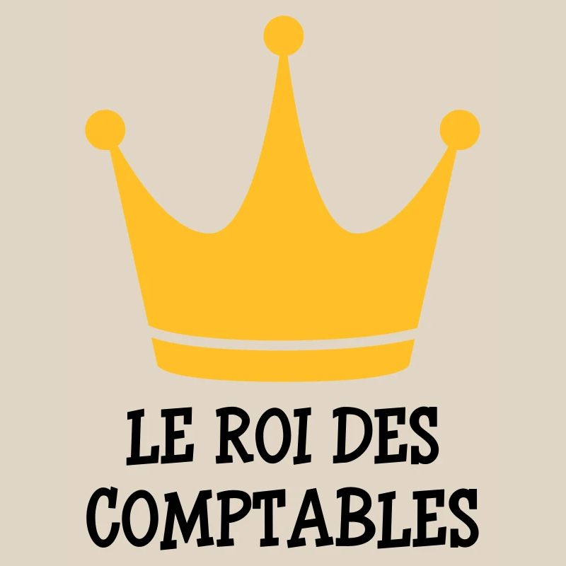 Accountant / Accounting / Comptable / Comptabilité