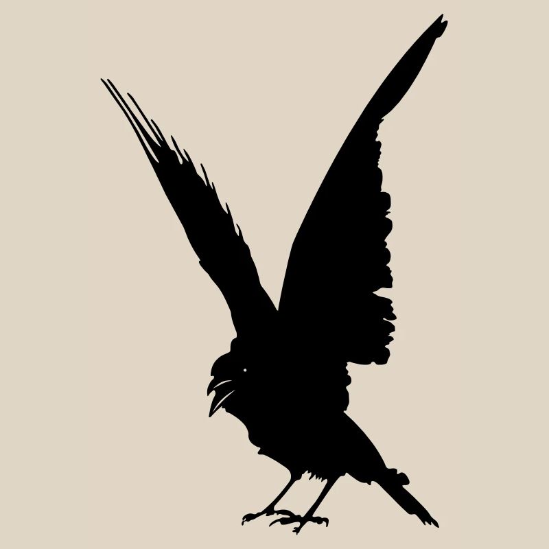 Schwarze Vogelkrähe oder Rabenschattenfigur