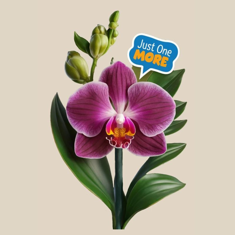 Nur noch eine Orchidee