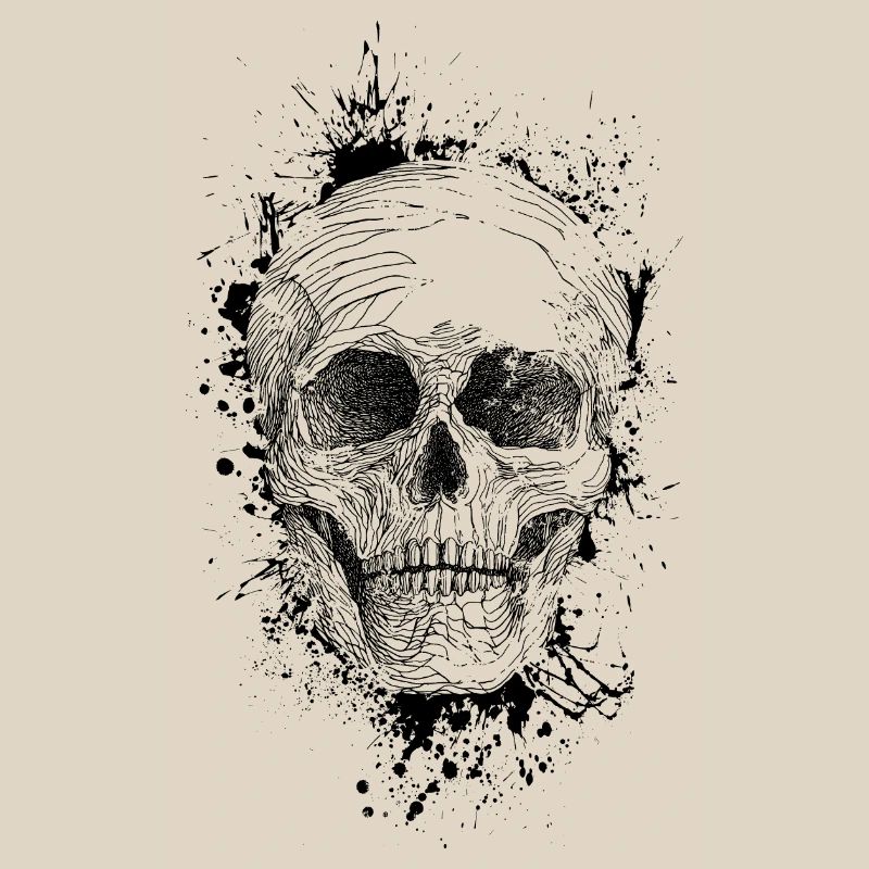 Skull
