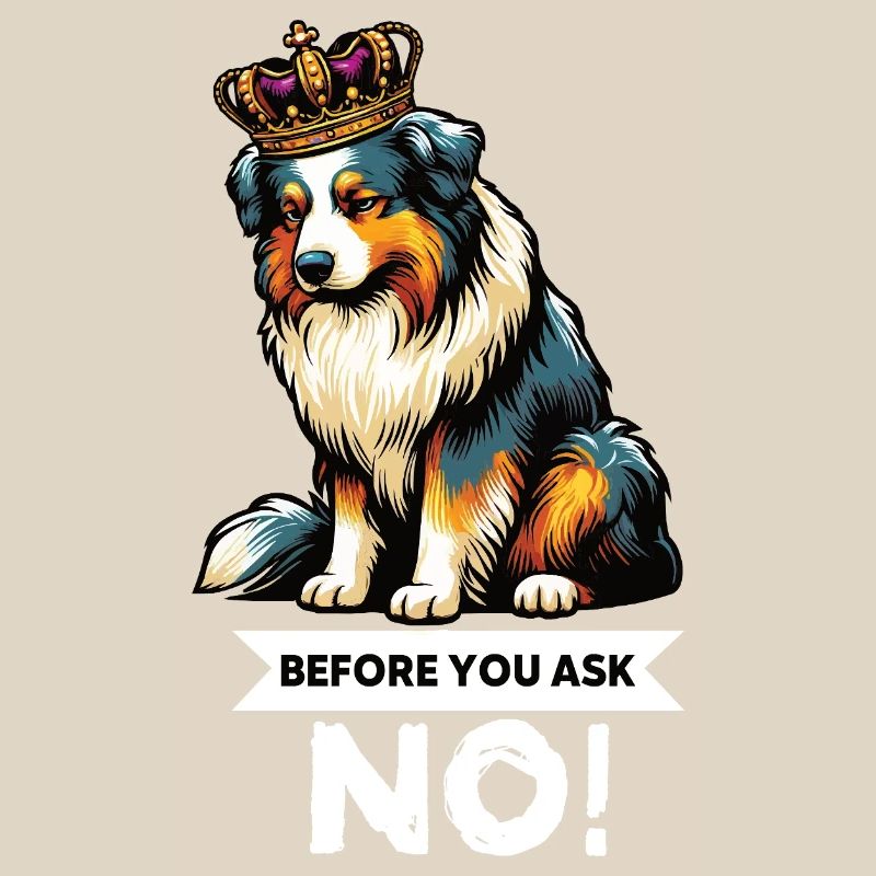 Before You Ask Australian Shepherd Aussie Aussies