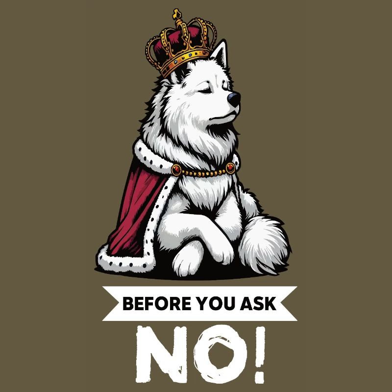 Before You Ask White Shepherd Shepherd