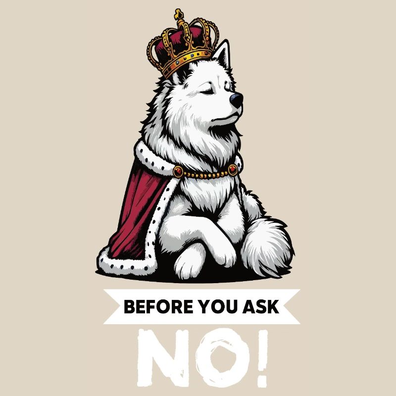 Before You Ask Weißer Schäferhund Schäferhund 