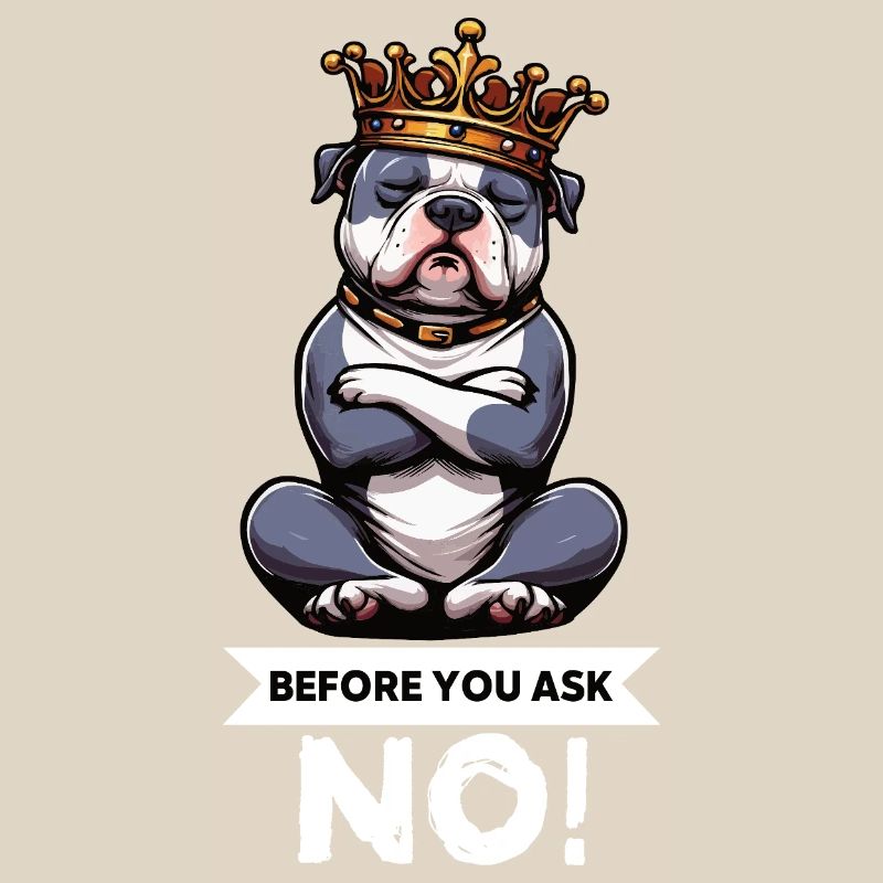 Before You Ask American Bully Bully Pit Bullys