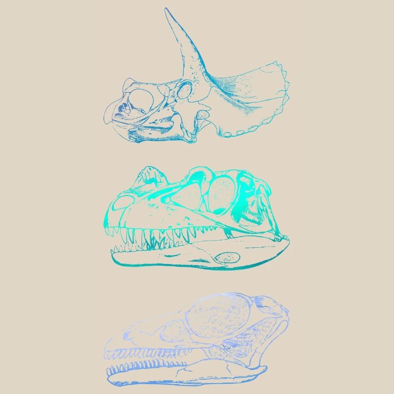 Dinosaur Skulls