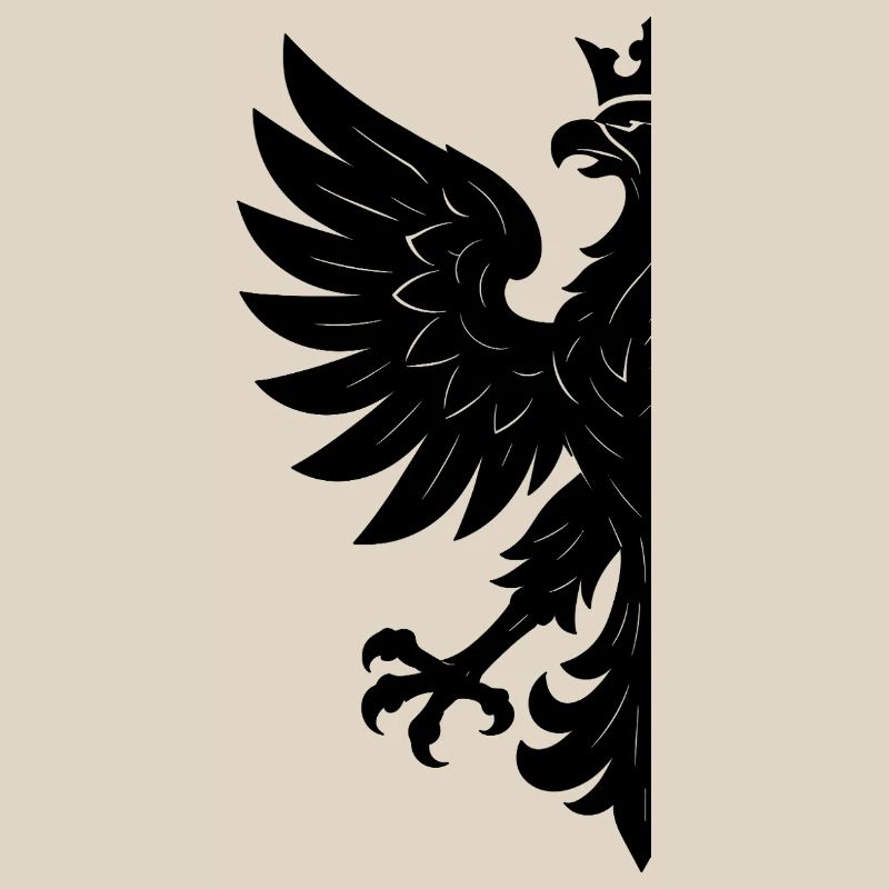 Pologne Polska Eagle Drapeau Drapeau Noir Cadeau