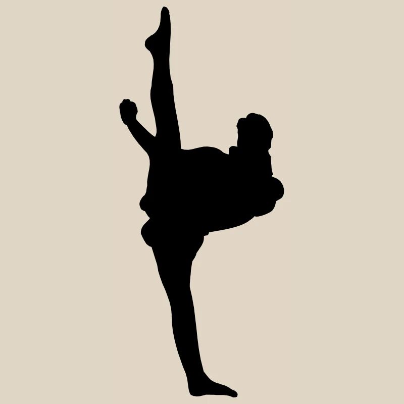 Karate oder Taekwondo High Kick