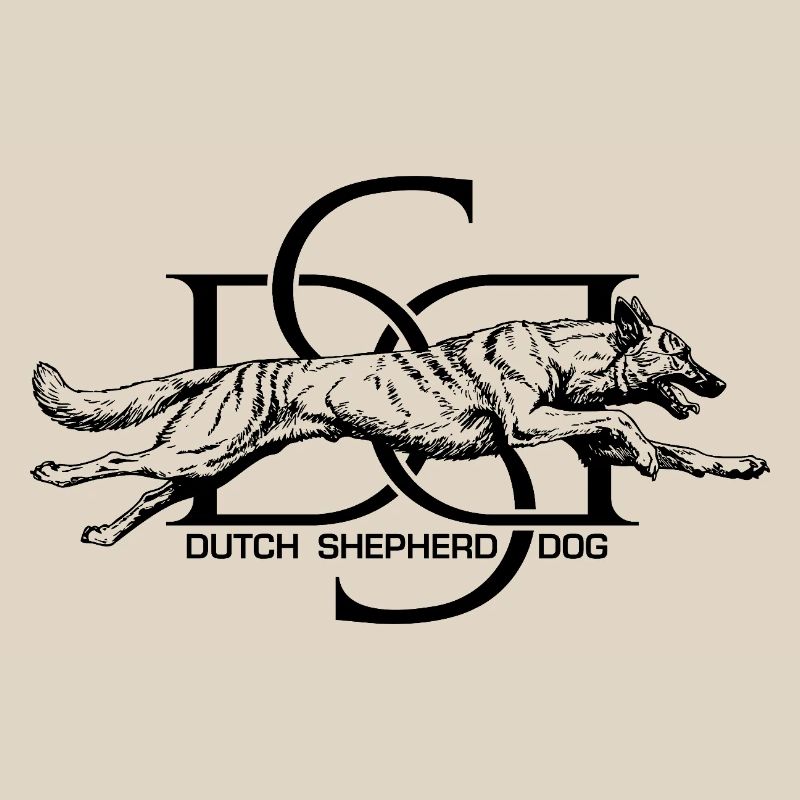 Dutchie - Holländischer Schäferhund