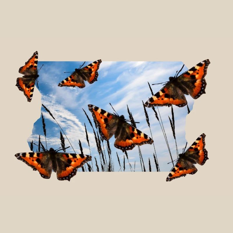 BUTTERFLY
