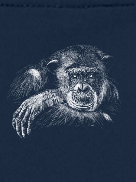 Affe