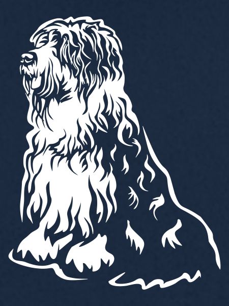 Bobtail "Black Edition"