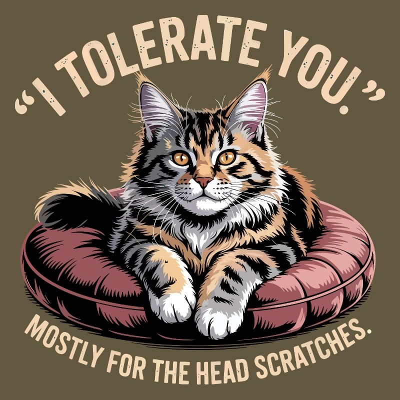 Head Scratch Cat