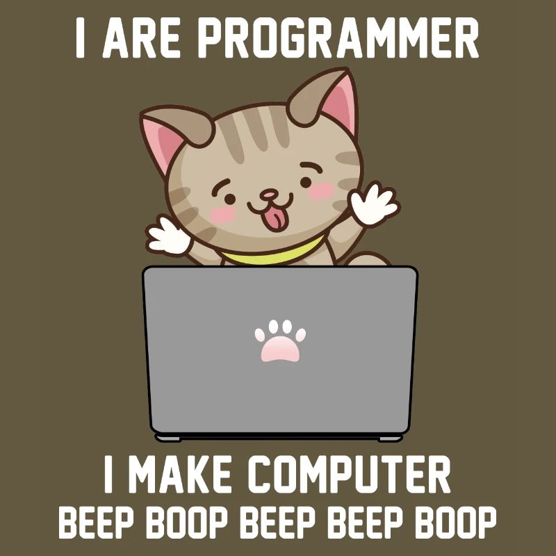 Programmer
