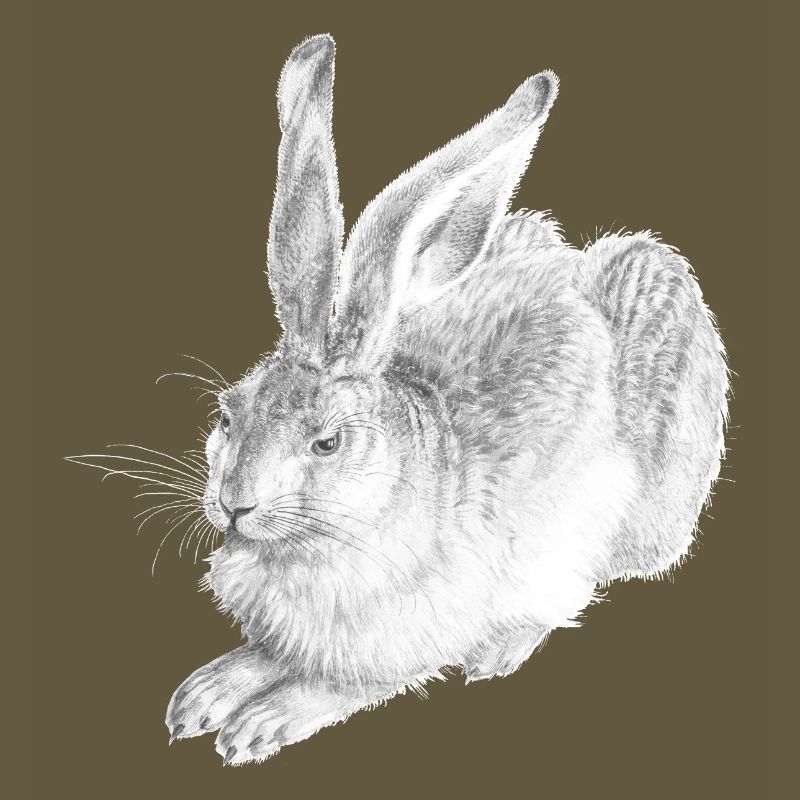 WHITE RABBIT | Snow Hare after Albrecht Dürer