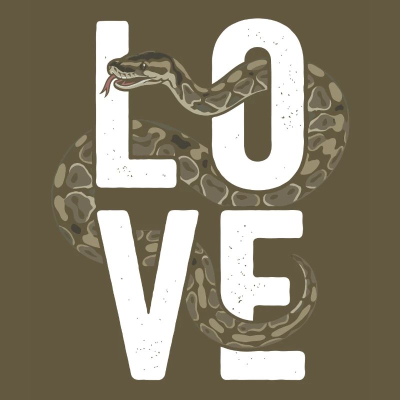 Les serpents rois Python ADORENT les pythons de terrarium