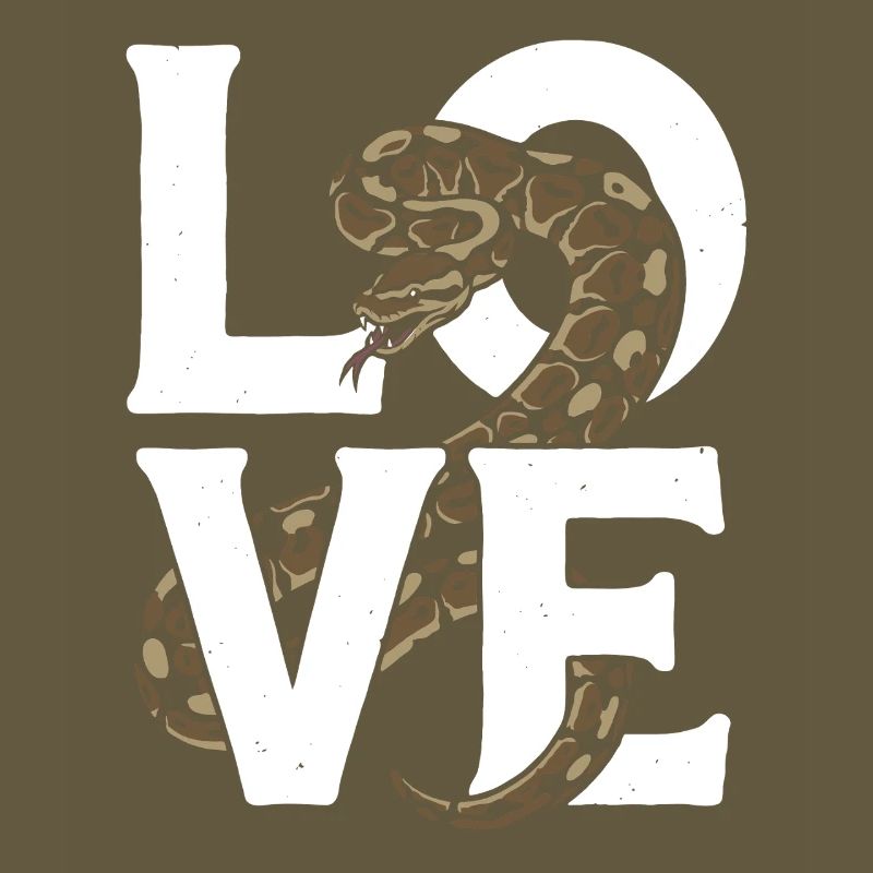 Les serpents rois Python ADORENT les pythons de terrarium