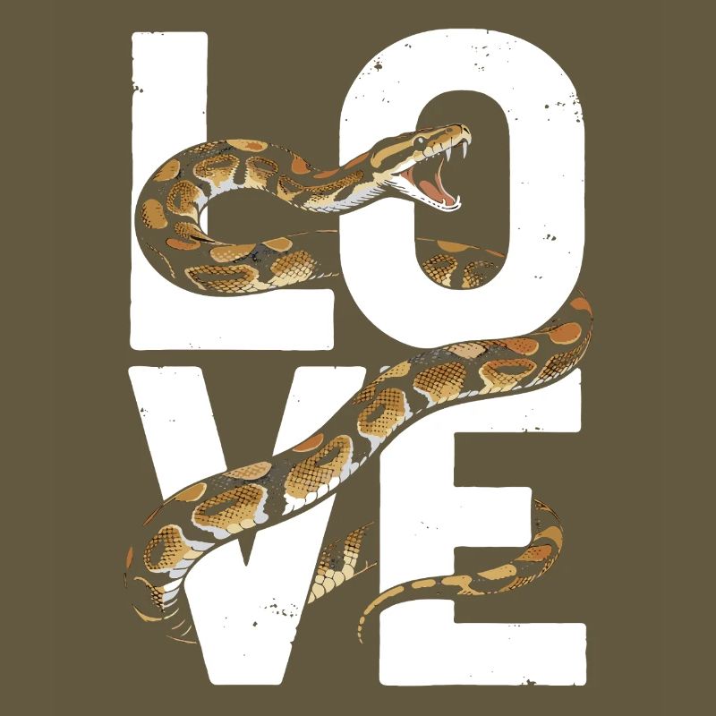 King Python Snakes LOVE Terrarium Python