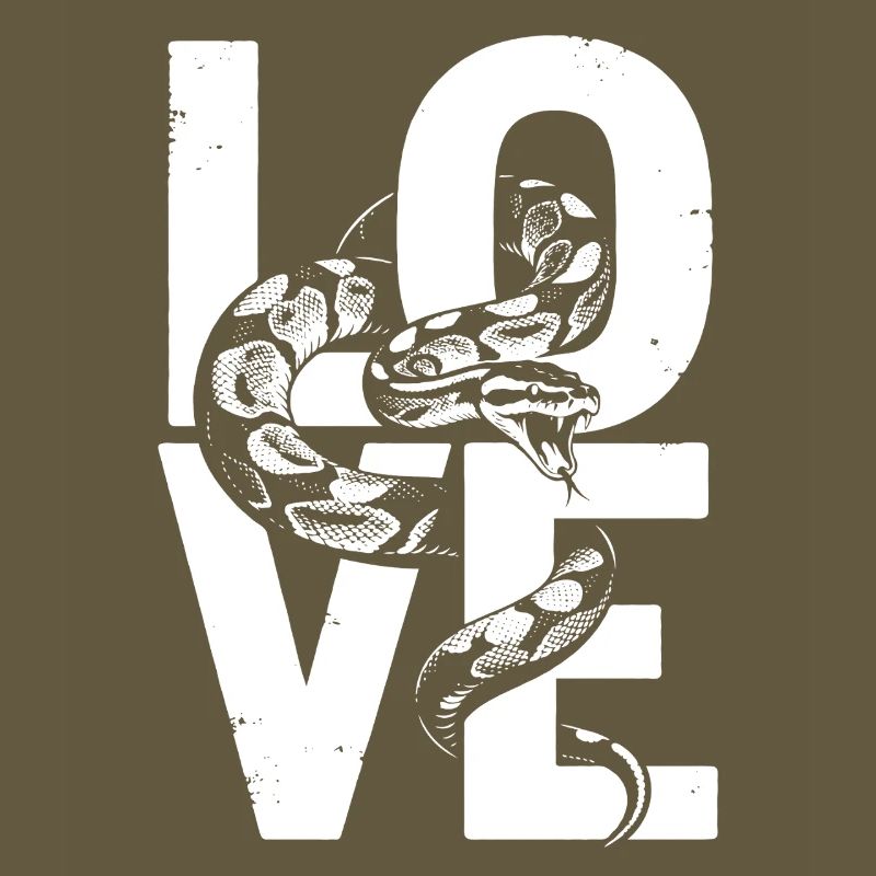 Les serpents rois Python ADORENT les pythons de terrarium