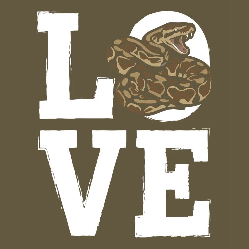 Les serpents rois Python ADORENT les pythons de terrarium