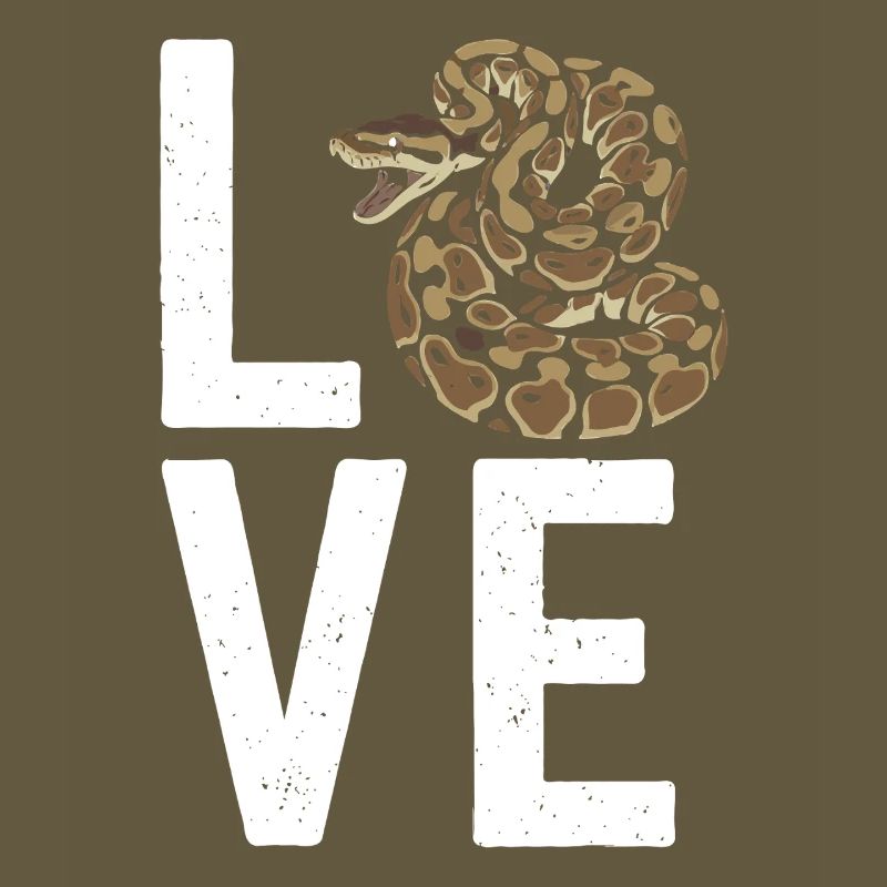 King Python Snakes LOVE Terrarium Python