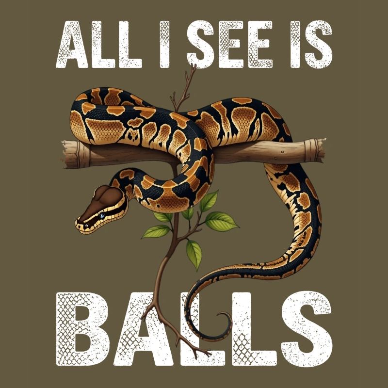 Königspython Schlangen Liebhaber Terrarium Python