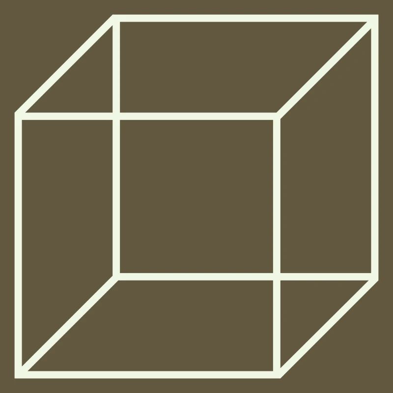 Geometric Wire Cube
