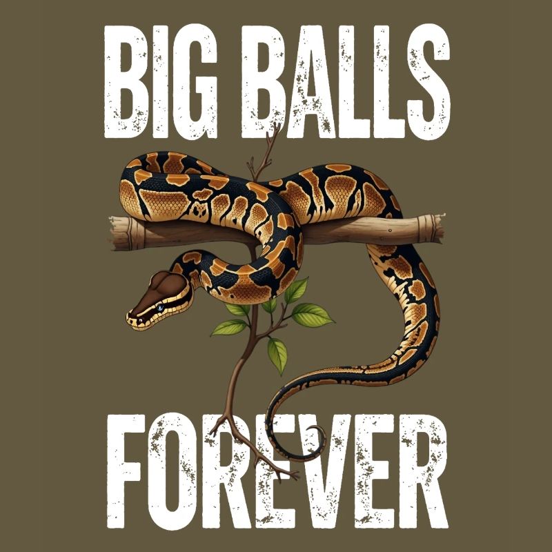 King Python Snakes Lover Terrarium Python