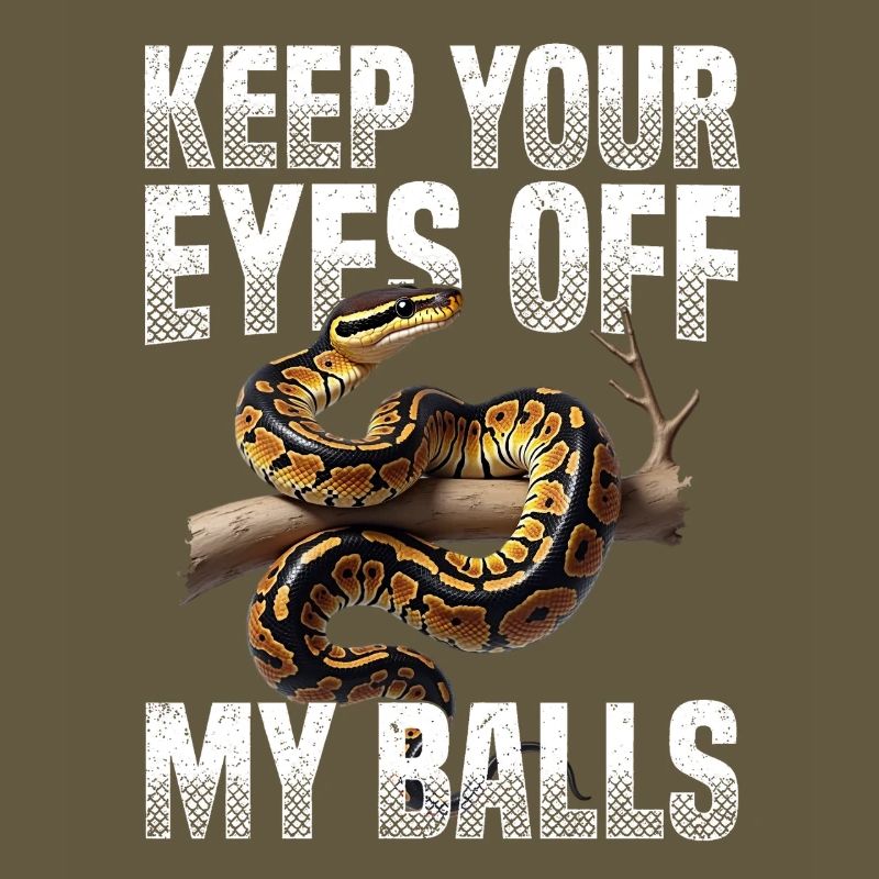Python roi Serpents Amateurs de terrarium Python