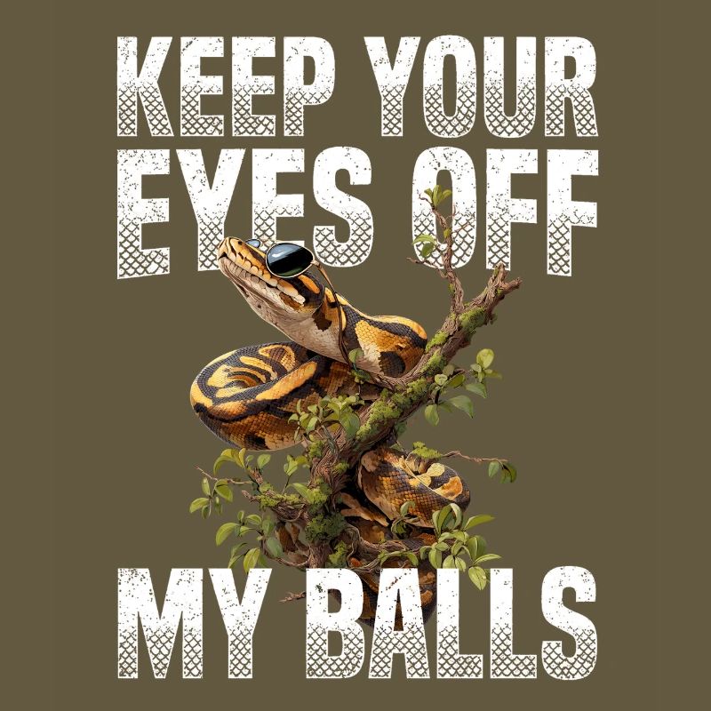 Königspython Schlangen Liebhaber Terrarium Python