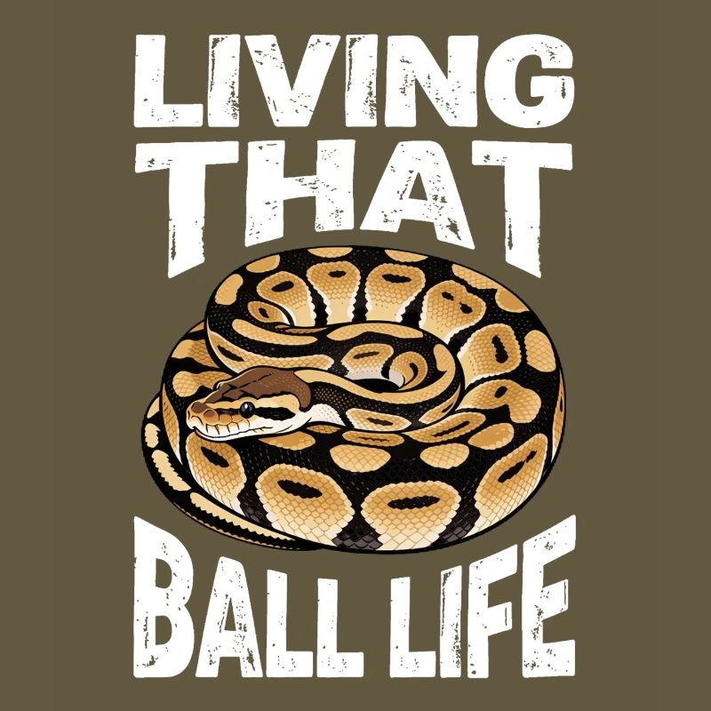 Python roi Serpents Amateurs de terrarium Python