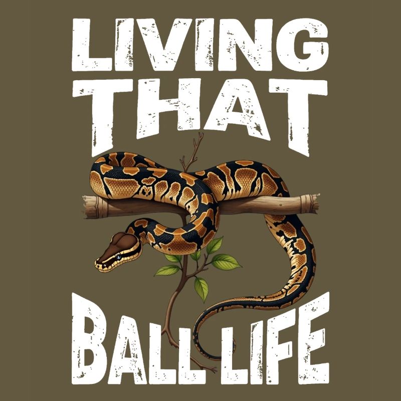 Python roi Serpents Amateurs de terrarium Python