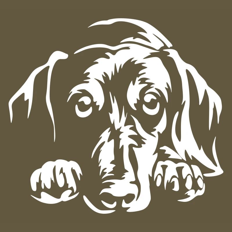 Dachshund "Black Edition"