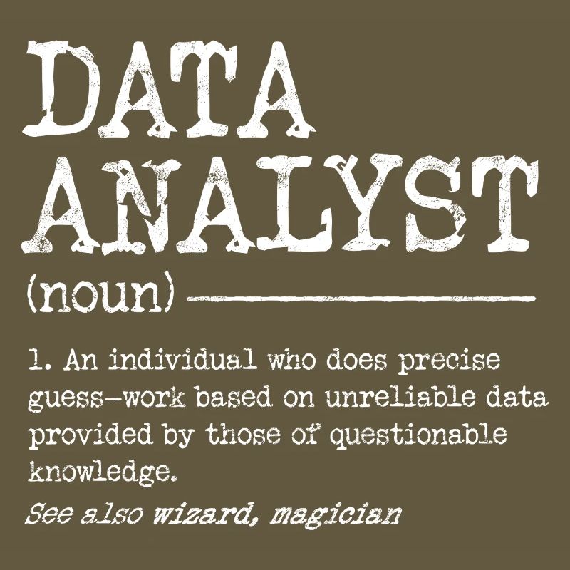 Data Analyst Meme Tee